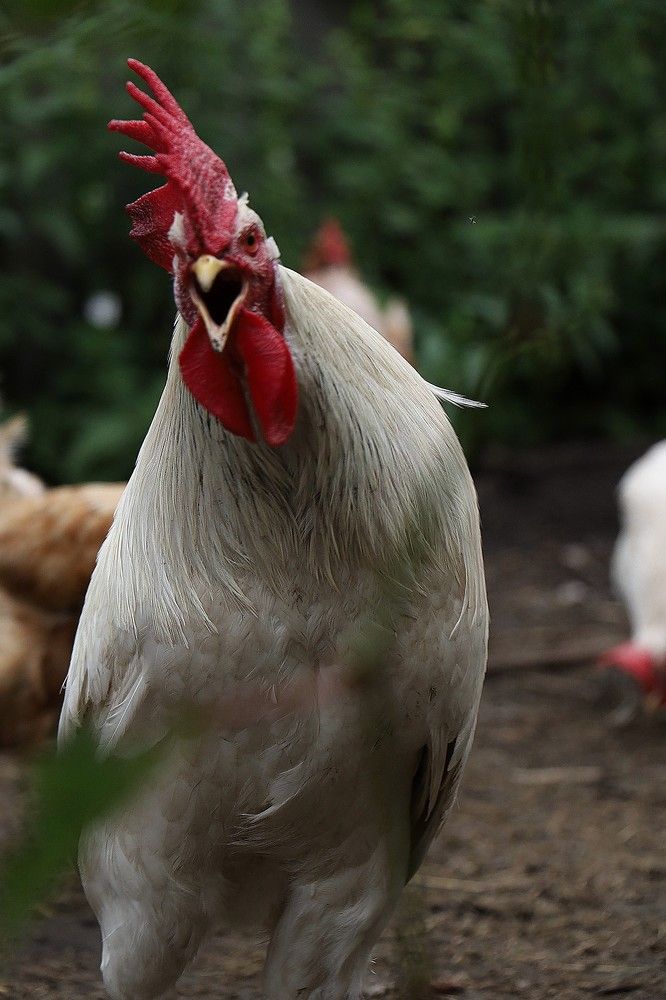 Photograph by Елена Клементьевская