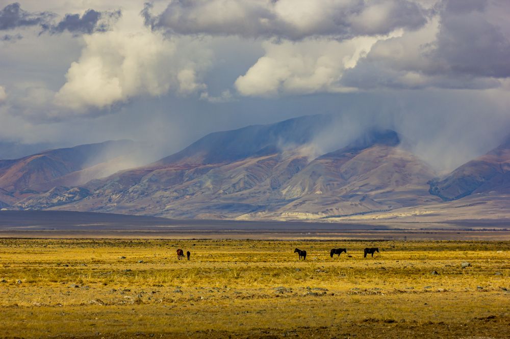 Photograph by Елена Павлова