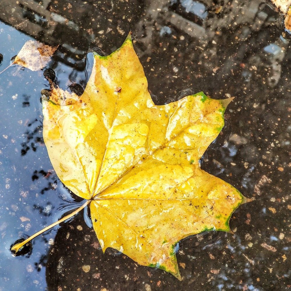 Photograph by Анна Андреевна
