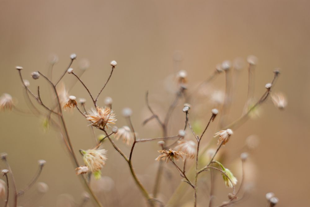 Photograph by Владислав Капанов