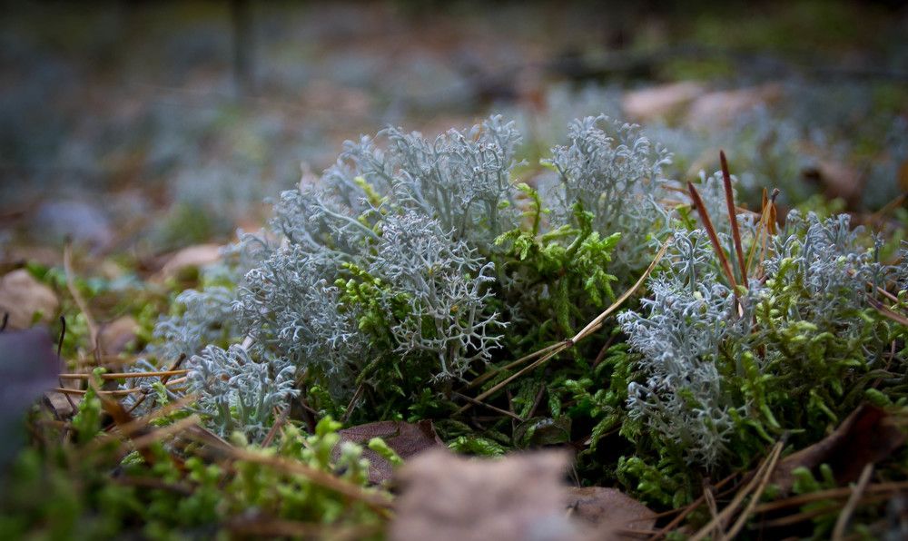 Фотография автора Юлия Кранина