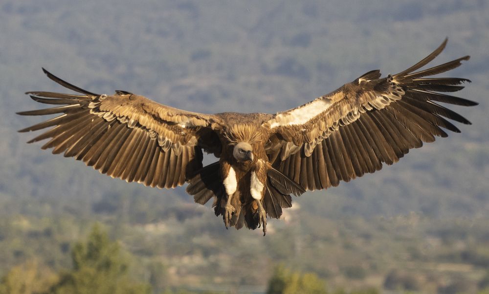 Photograph by Vasos Vasiliou