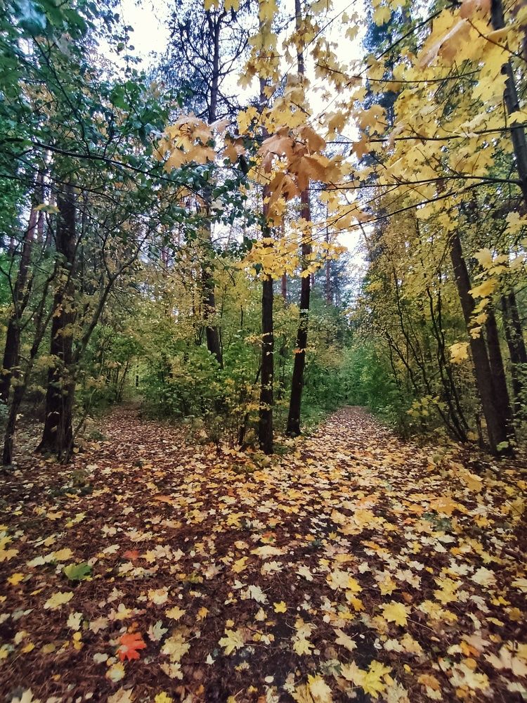 Photograph by Влад Барышов