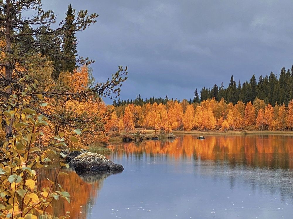 Photograph by Janina Segeda