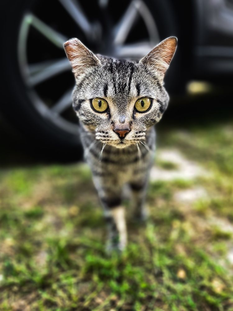 Фотография автора Sandra