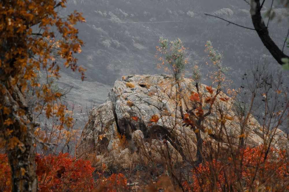 Photograph by wafae koubaa