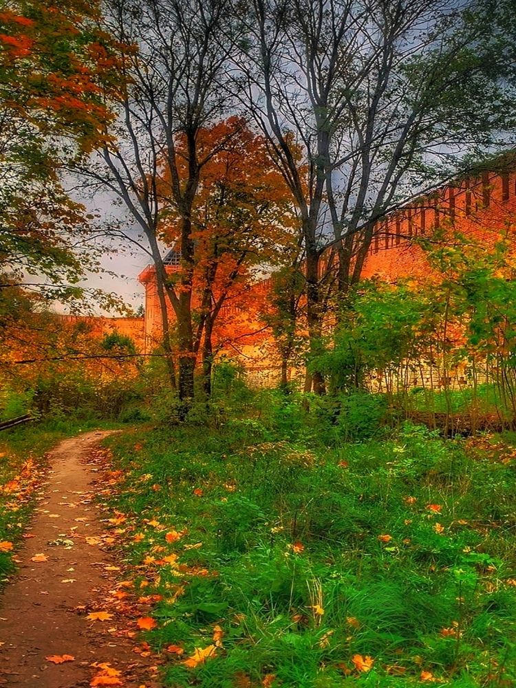 Photograph by Елена Егорова