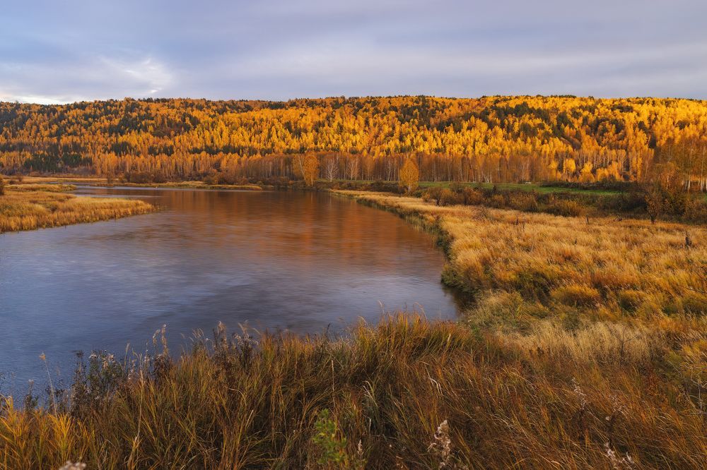 Фотография автора Галина Аверьянова