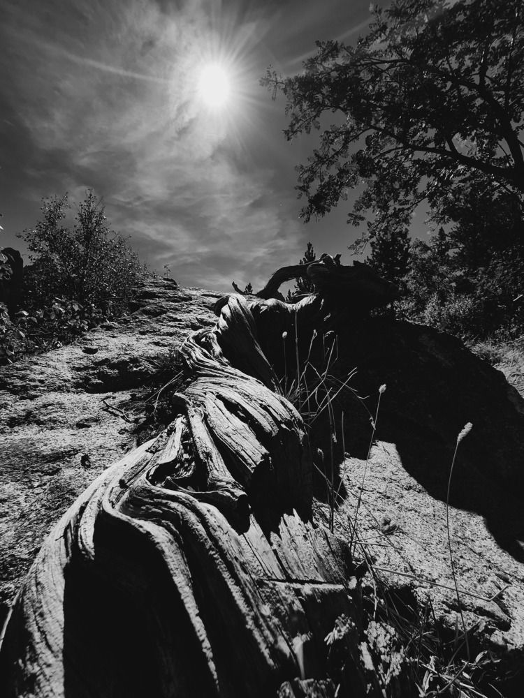 Photograph by esti lahat