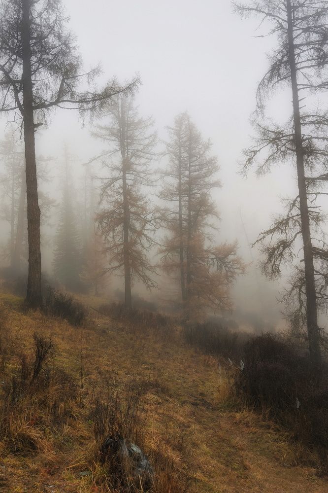 Photograph by Кузнецов Дмитрий