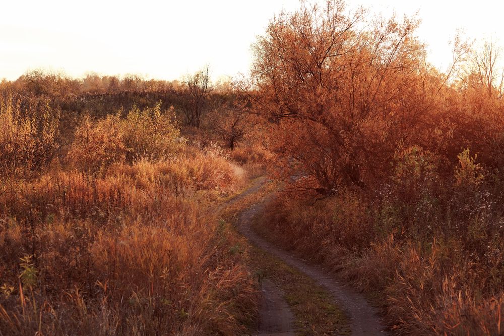 Фотография автора Галина Аверьянова