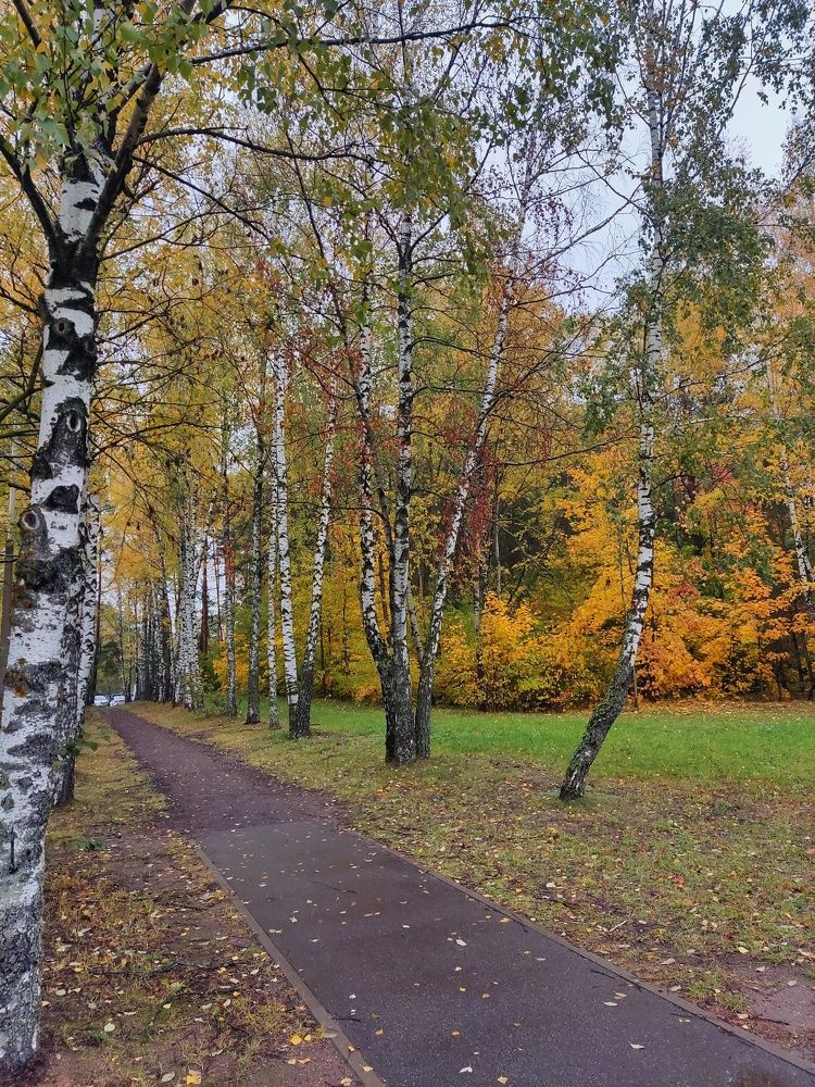 Photograph by Влад Барышов