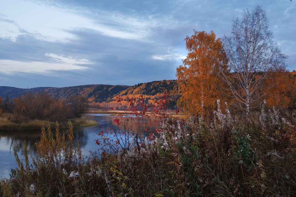 Фотография автора Галина Аверьянова