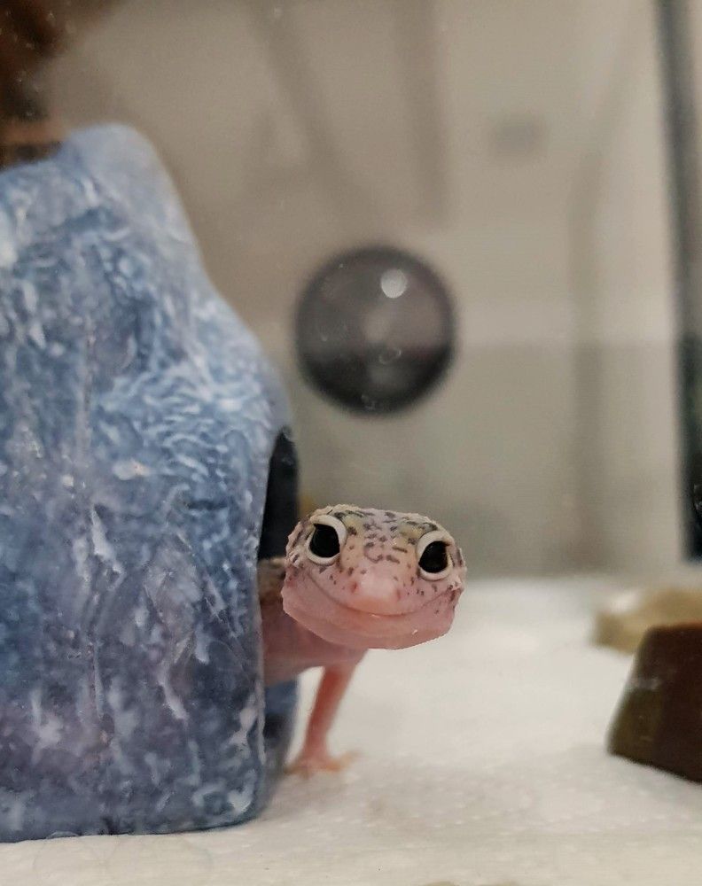 Photograph by Максим Грибанов