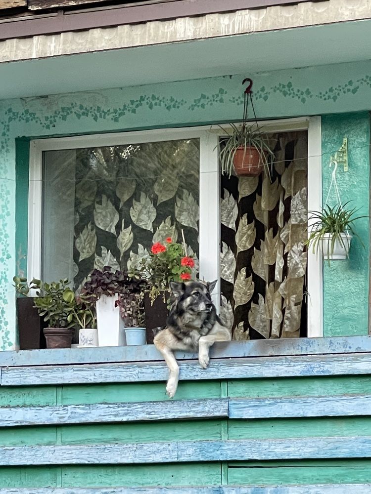 Тяжелый день