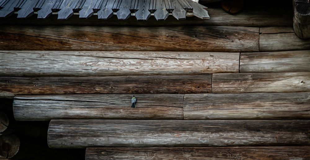 Photograph by Ольга Сафронова