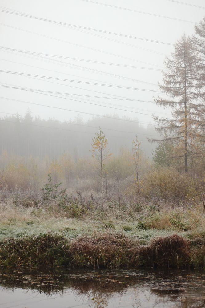 Фотография автора Михаил Кротков