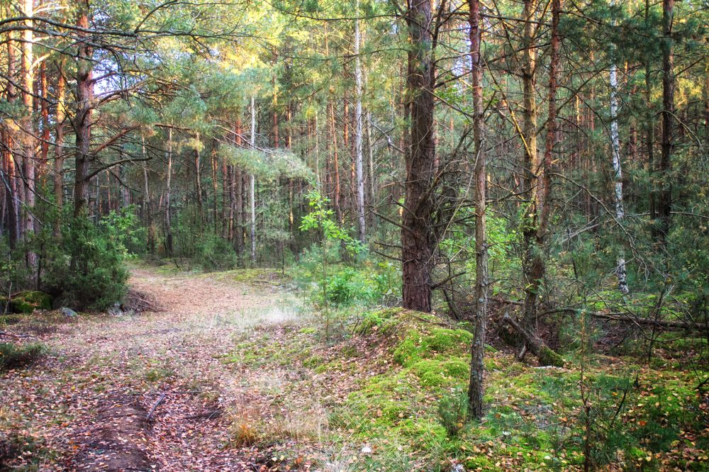 Фотография автора Юлия Кранина