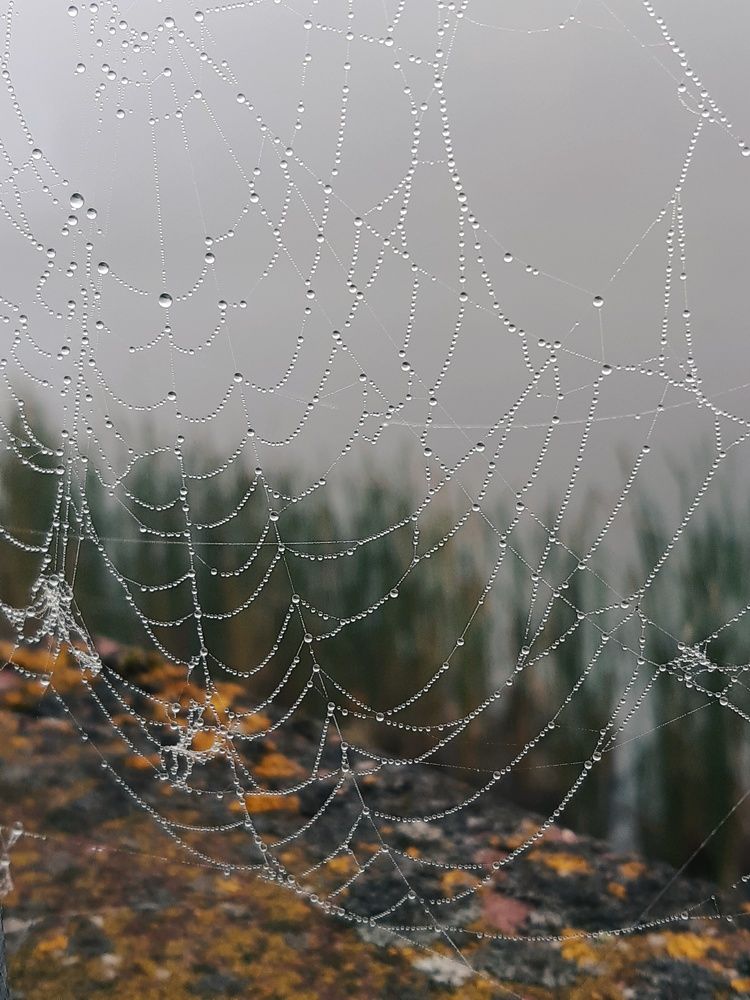 Photograph by Barulina Aleksandra