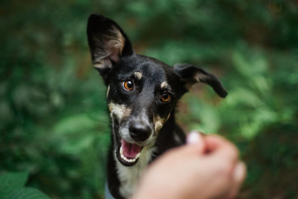 Photograph by Татьяна Степанова