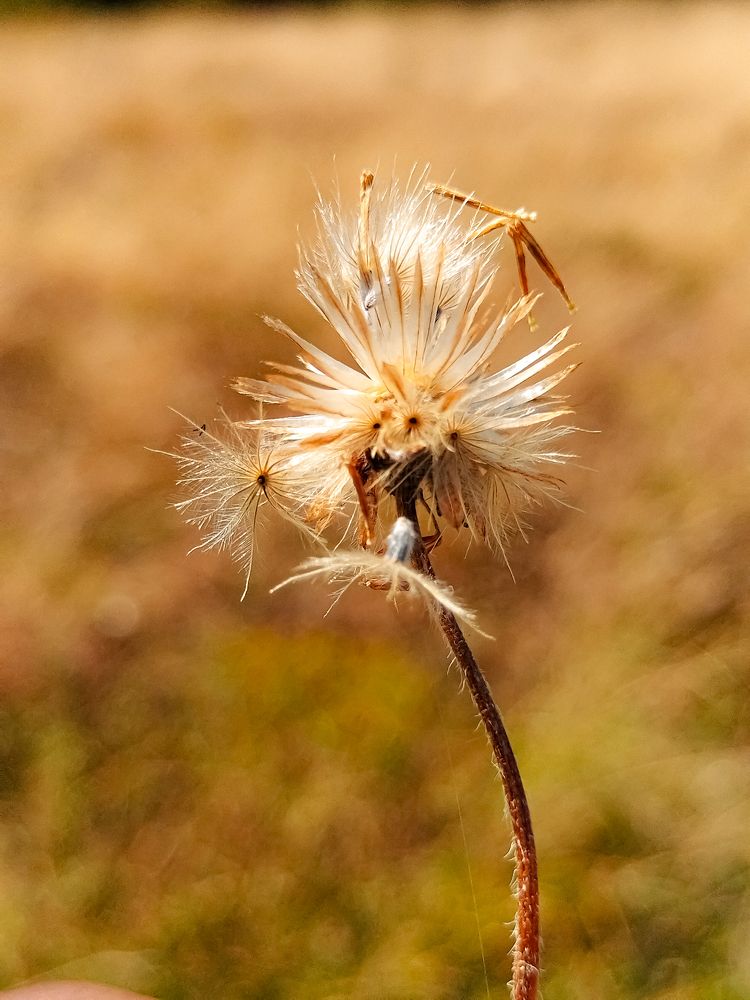 Photograph by Praveen