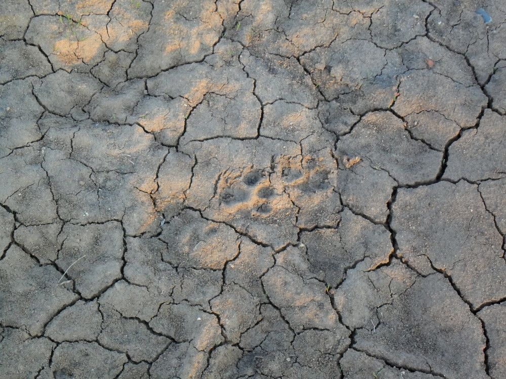 Photograph by Елена Попова