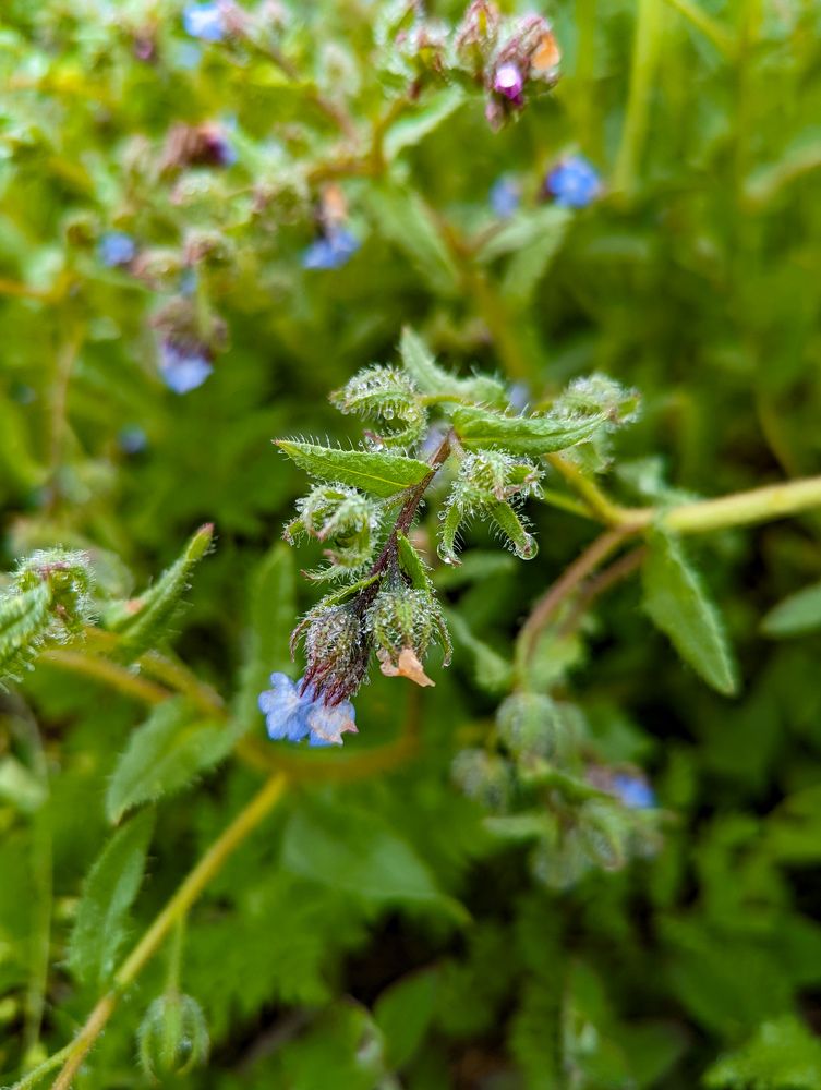 Photograph by Елизавета Коровина