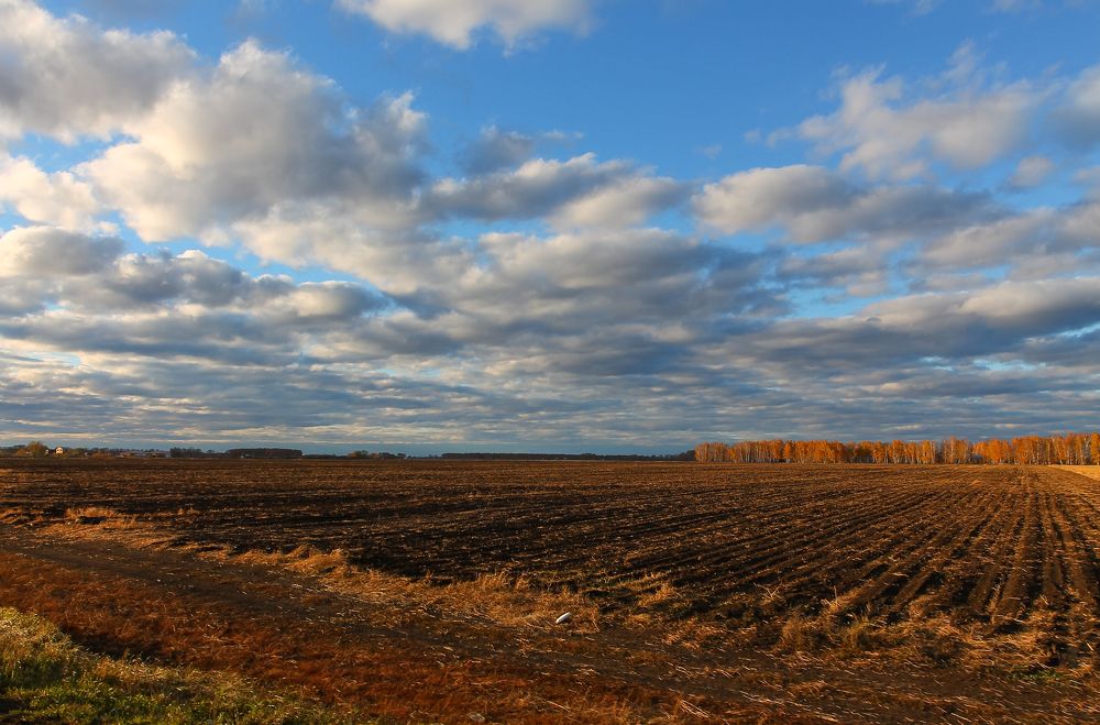 Фотография автора Дмитрий Климов