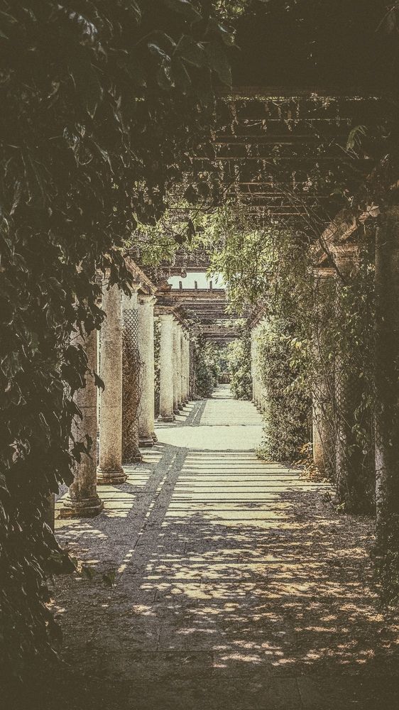 Photograph by Zinaida Sassarini