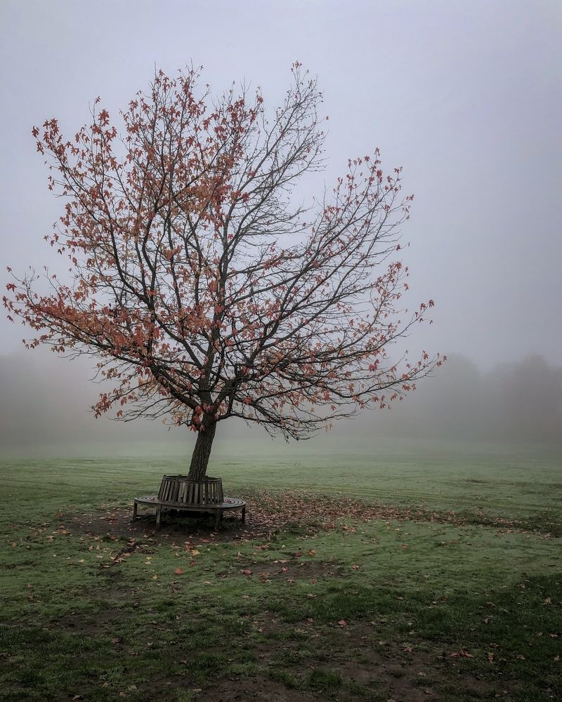 Photograph by Zinaida Sassarini