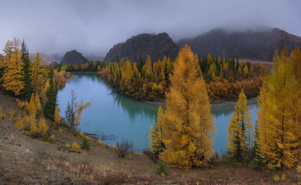 Photograph by Чичкин Валерий