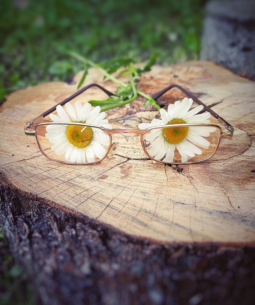 Фотография автора Екатерина Карасева