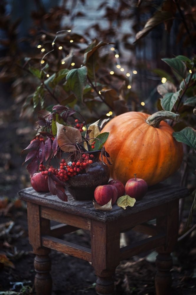 Photograph by Наталья Шленкина