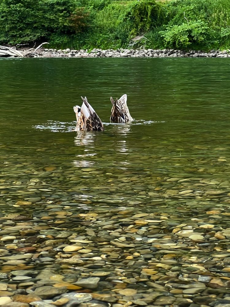 Photograph by Eugenia Schmidt