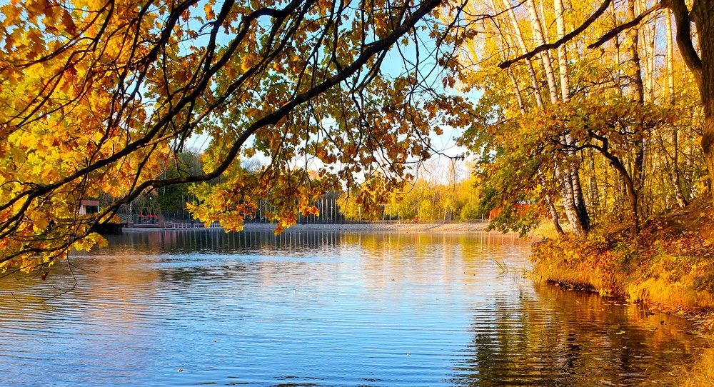 Photograph by Яна Галимуллина