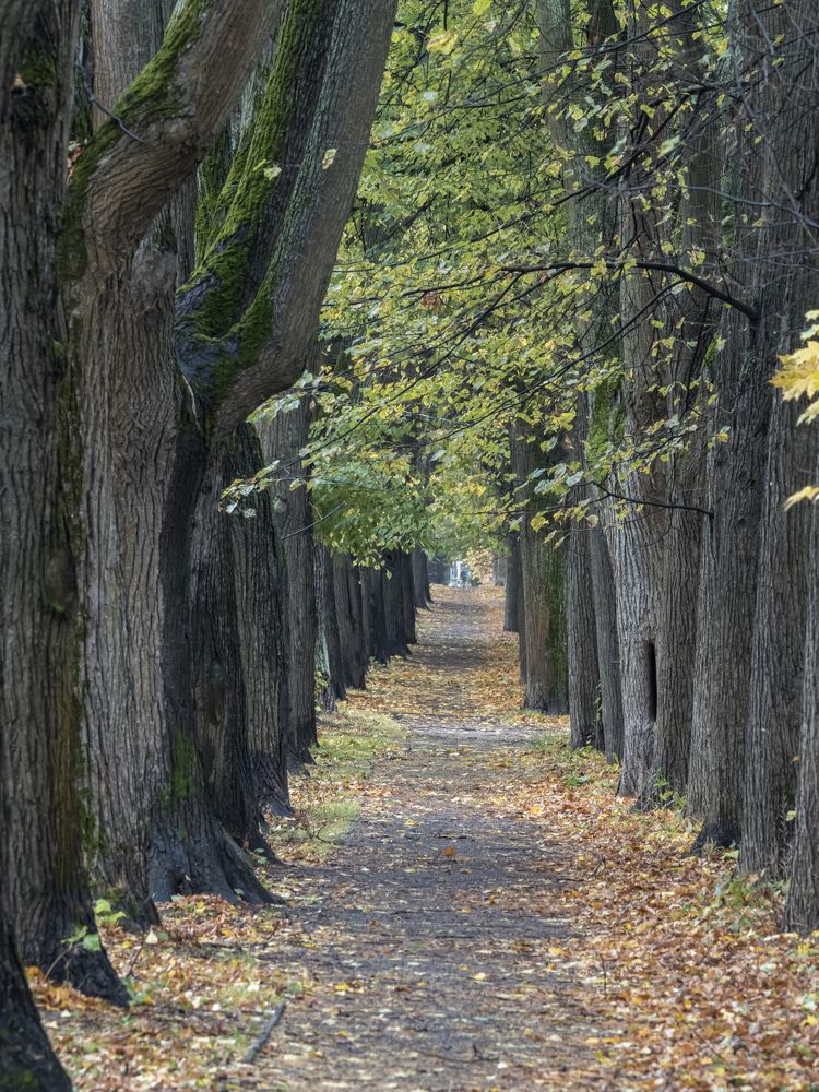 Photograph by Yury Fokin