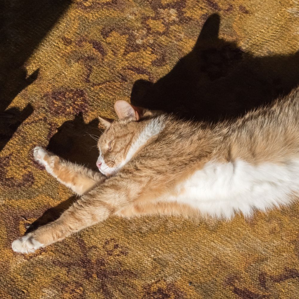 Photograph by Yury Fokin