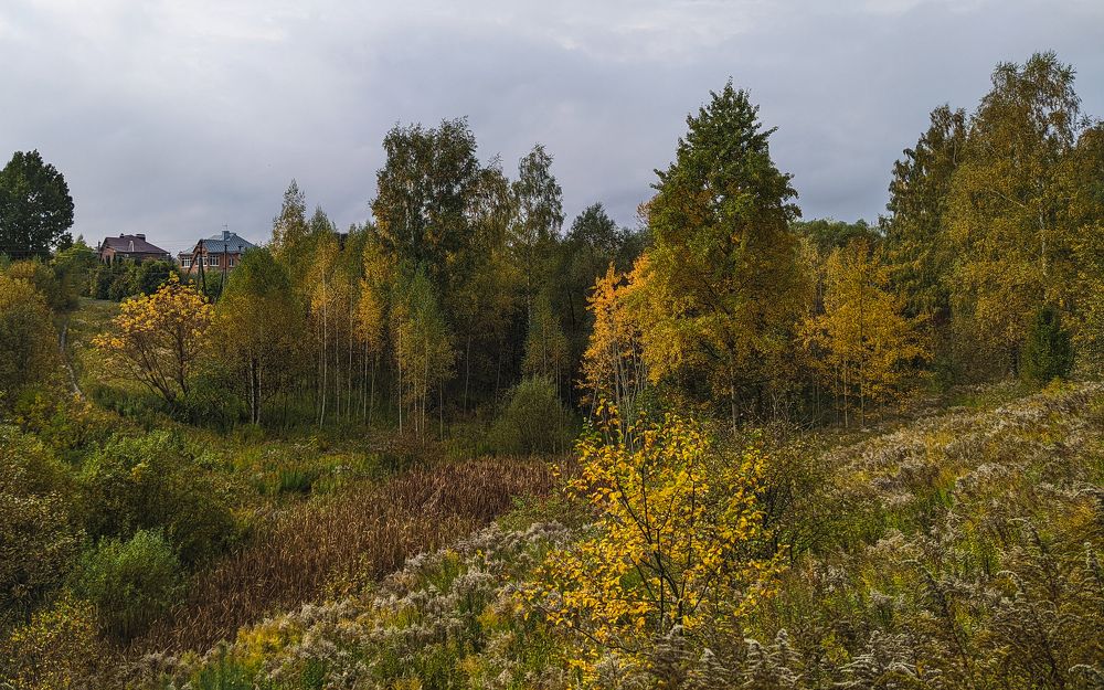 Photograph by Пронин Денис