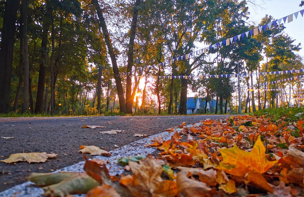 Photograph by Ольга Попченко