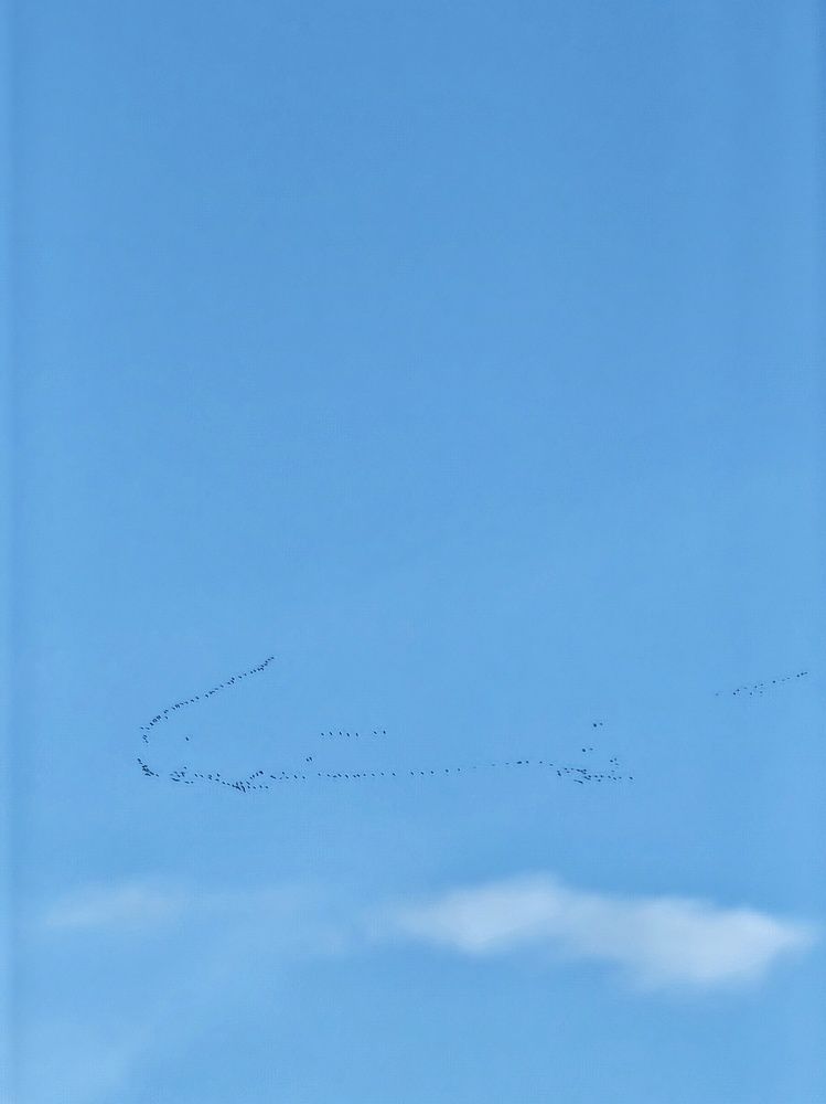 Photograph by Анна Казакова