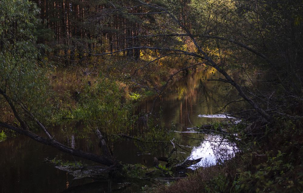 Краски октября