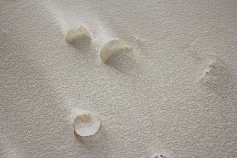 Photograph by Markov Dima