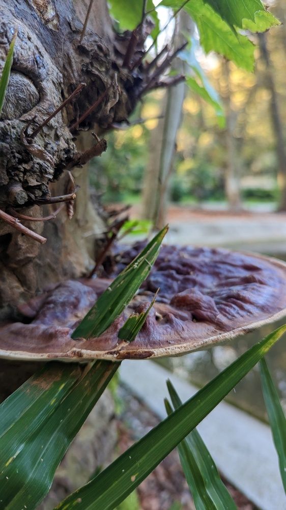 Photograph by Вероника Колбасова