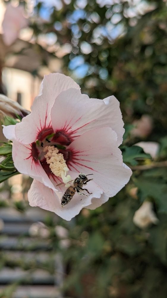 Photograph by Вероника Колбасова