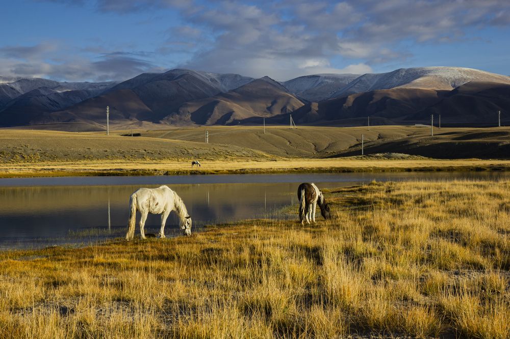 Photograph by Елена Павлова