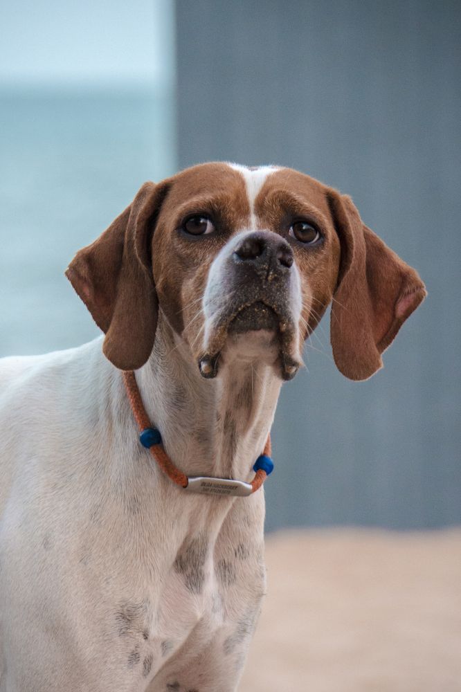 Интересненько на пляже..