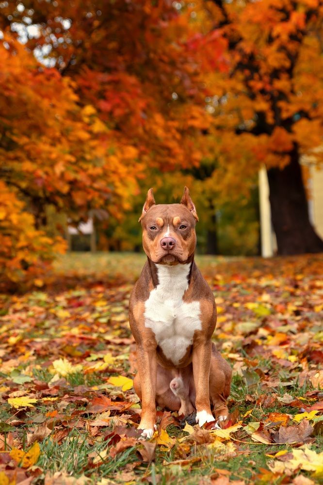 Photograph by Наталья Носова (Кучеренко)