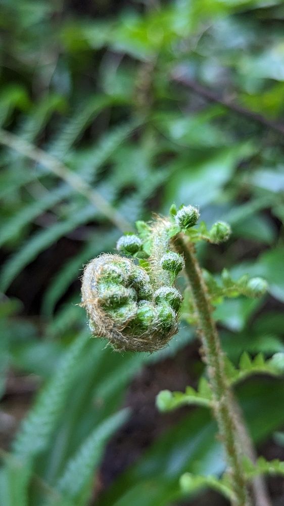 Photograph by Вероника Колбасова