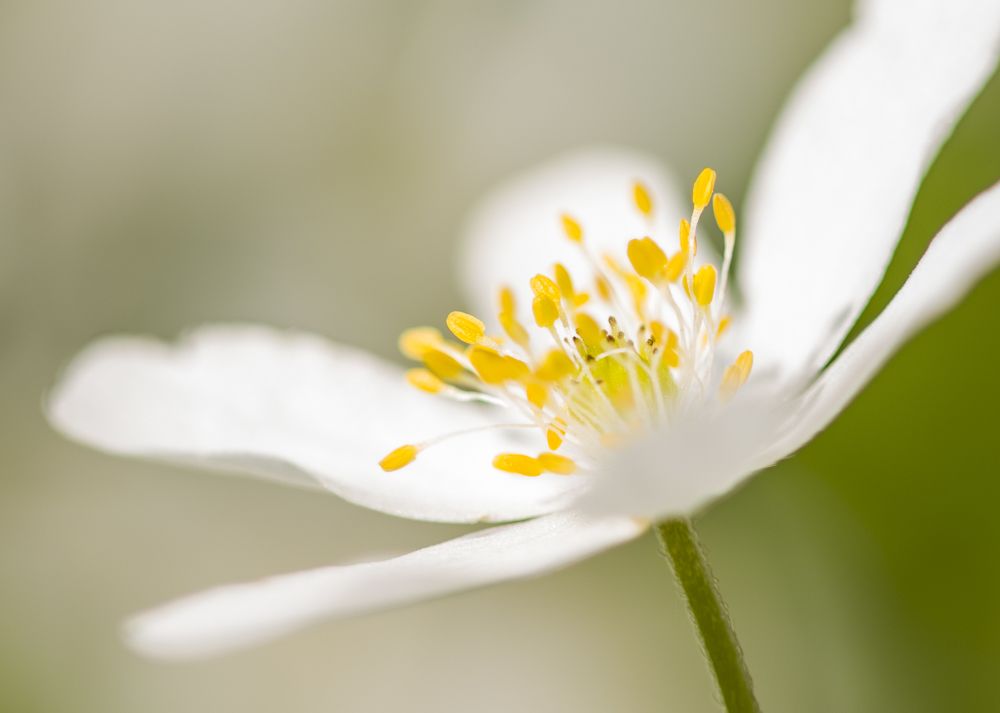 Photograph by Aleš Maučec