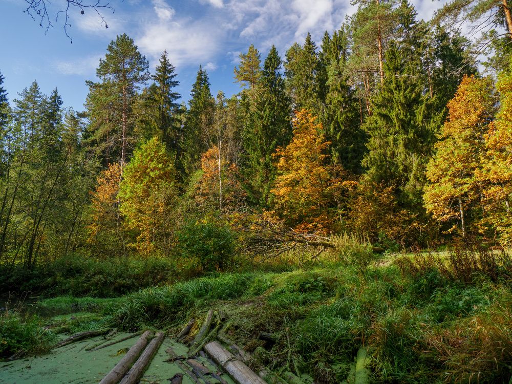 Photograph by Михаил Шохин